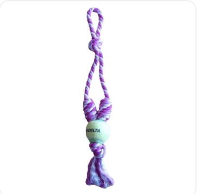 Bg Pet Evcil Hayvan Örgü İpi Ve Diş Kaşıma Oyun Topu 45 cm (Pembe) - 1