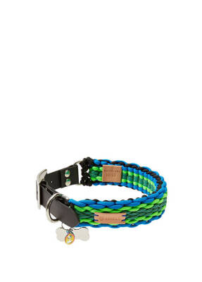 Redzill Blugree Paracord Köpek Boyun Tasması (Large) 41cm 47cm - 1