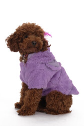 Doredog Luxury Teddy Bear Coats Köpek Mont Mor Xl - 2