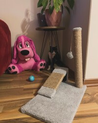 Kedi Rampalı Tırmalama Tahtası - BONYBON