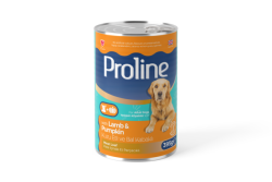 Proline Kuzu Etli Ve Bal Kabaklı Pate İçinde Et Parçacıklı Köpek Konservesi 395 Gr (24 Adet) - 1