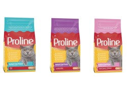 Proline Kuzu Etli,Renkli Taneli,Balıklı Kedi Maması 1.2 kg (3 Adet) - PROLİNE
